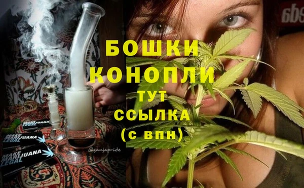 стаф Малоархангельск