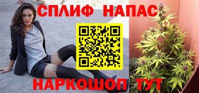 сатива Гагарин