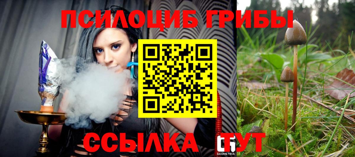 Псилоцибиновые грибы мицелий Михайловка