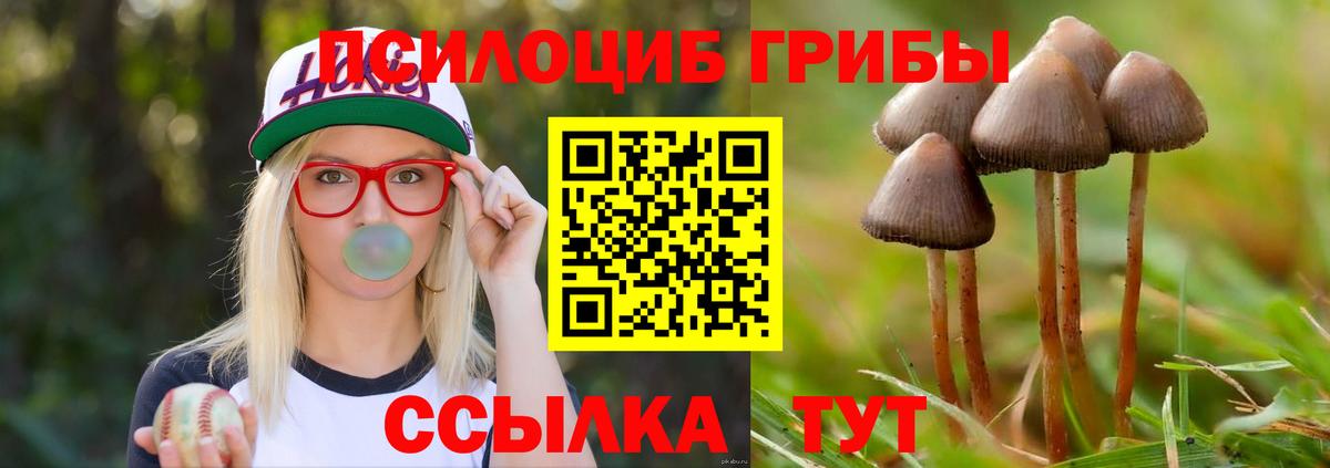Михайловка  Псилоцибиновые грибы ЛСД  Псилоцибиновые грибы GOLDEN TEACHER  Вход с VPN 